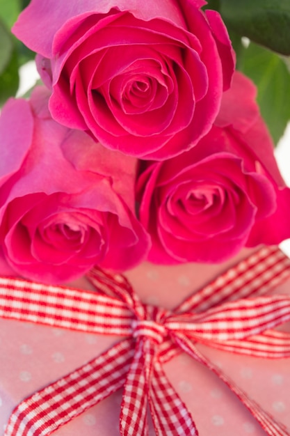 Фото Розовые розы, одетые на розовый