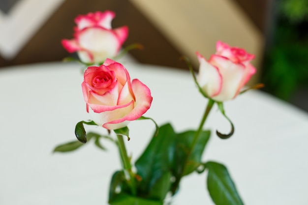 白いテーブルクロスの上の透明な花瓶のピンクのバラ