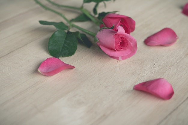 Pink roses in valentine day, romantic background (vintage effect)