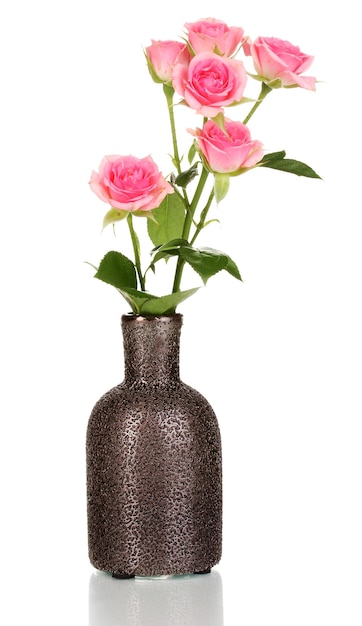 白で隔離の花瓶のピンクのバラ