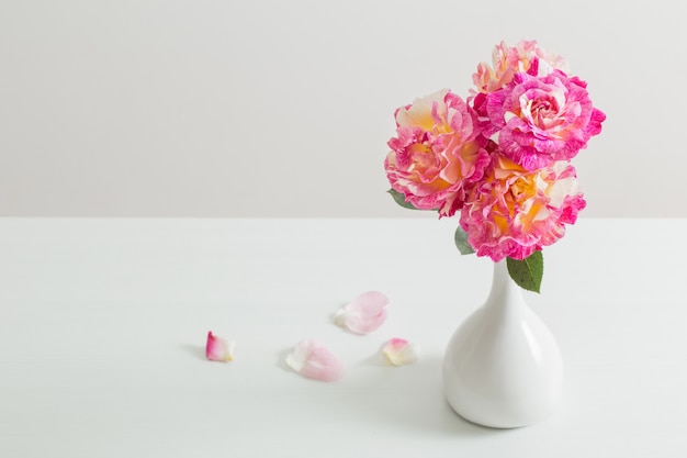 Pink roses in vase on white background