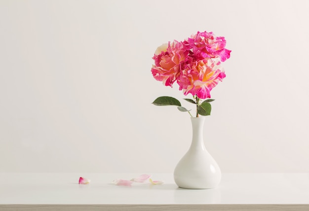 白い背景の上の花瓶にピンクのバラ
