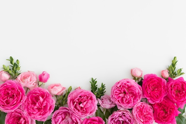 Pink roses on a white table Flat lay with blank copy space