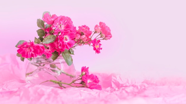 흰색 꽃병에 핑크 장미 축제 파스텔 핑크 배경꽃 카드 선택적 초점 톤 복사 공간배너