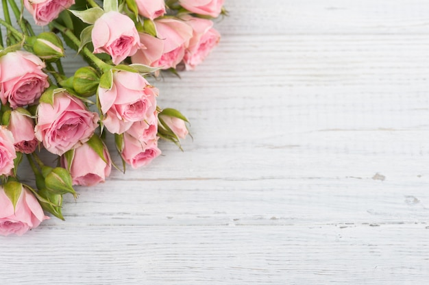 Pink roses on white wooden surface