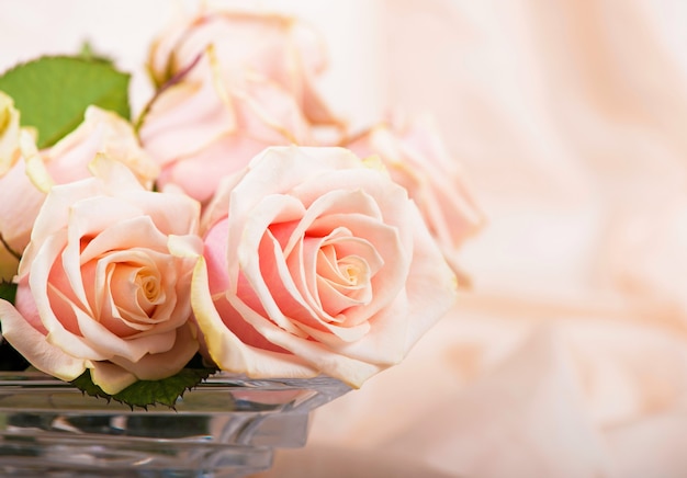 Pink roses with dew drops lies on a delicate silk surface