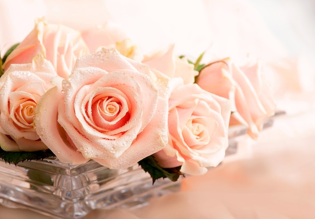 Photo pink roses with dew drops lies on a delicate silk surface