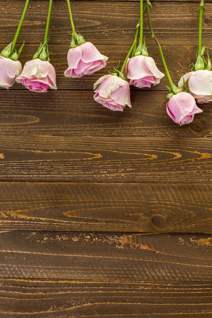 Pink roses on wood table.