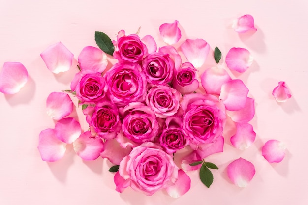 Pink roses