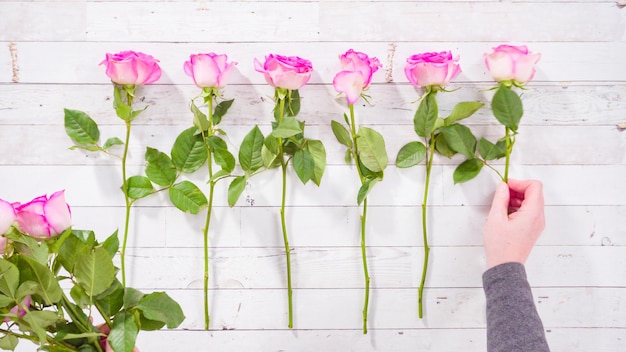 Pink roses