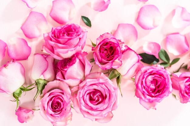 Pink roses