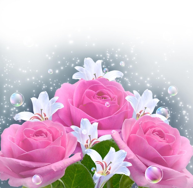 Pink roses