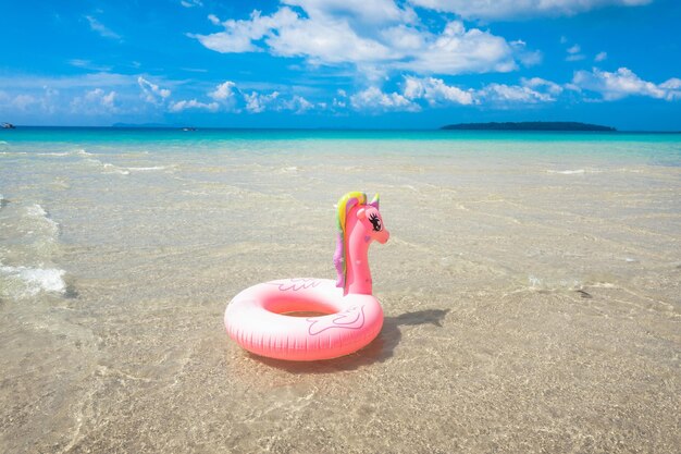 写真 ピンクのゴムリングと島のビーチ風景