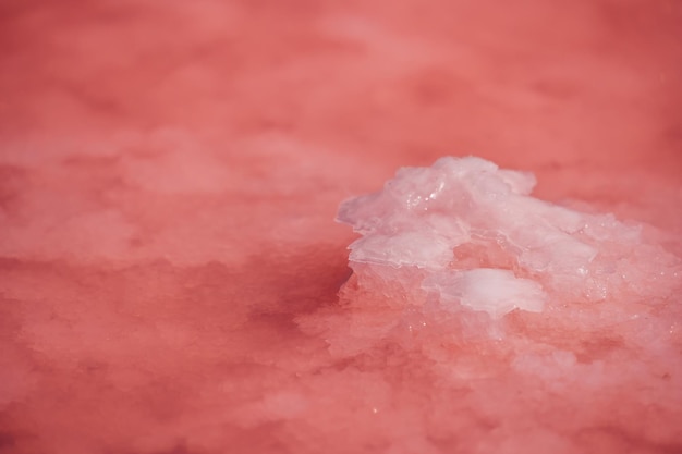 Pink salt crystals natural pink salt lake texture salt mining extremely salty pink lake colored by