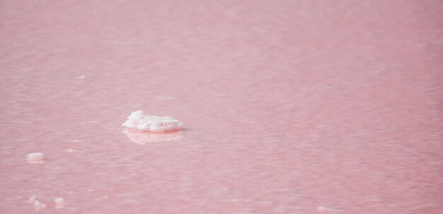 Pink salt crystals natural pink salt lake texture salt mining extremely salty pink lake colored by