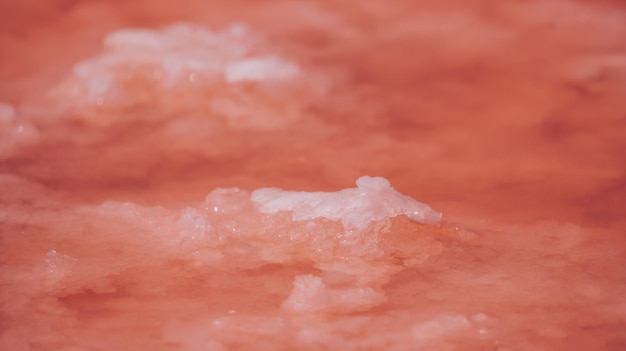 ピンクの塩の結晶自然なピンクの塩湖のテクスチャ塩採掘非常に塩辛いピンクの湖によって着色
