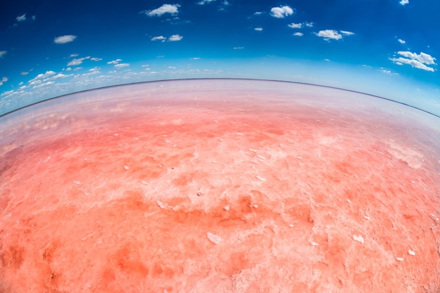 Pink salt lake and the blue sky with clouds. Fish-eye lens effect. Sasyk-Sivash pink salt lake in Crimea. Summer landscape.