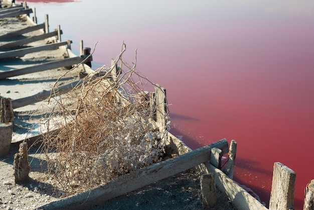 Pink salt lake. Production of pink salt.  