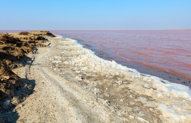 Pink salty Syvash Lake Ukraine