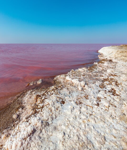Pink salty Syvash Lake Ukraine