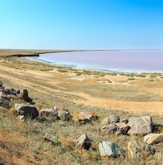 Pink salty Syvash Lake Ukraine