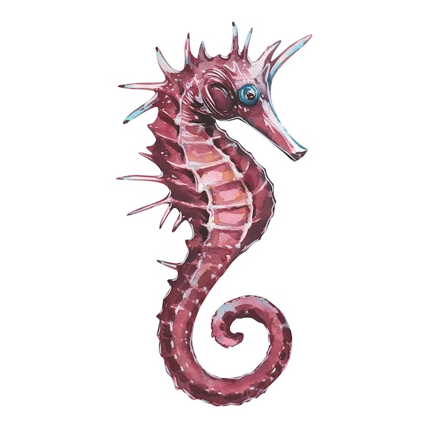 Pink sea horse underwater texture isolated on white background watercolor hand draw illustration art