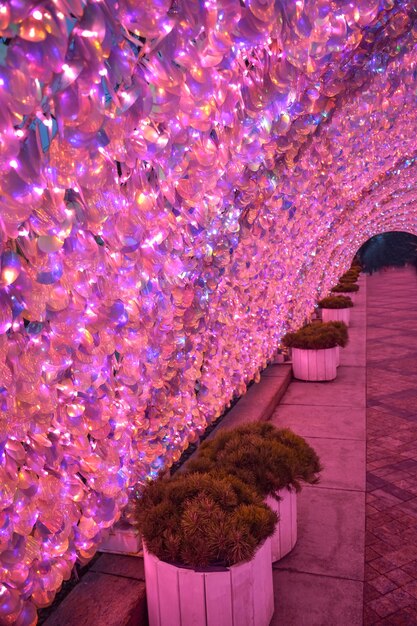 Foto paillettes rosa, paillettes in primo piano, scintillii rosa, decorazioni natalizie