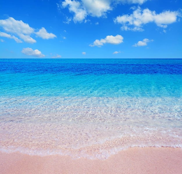 Pink shore under a cloudy sky