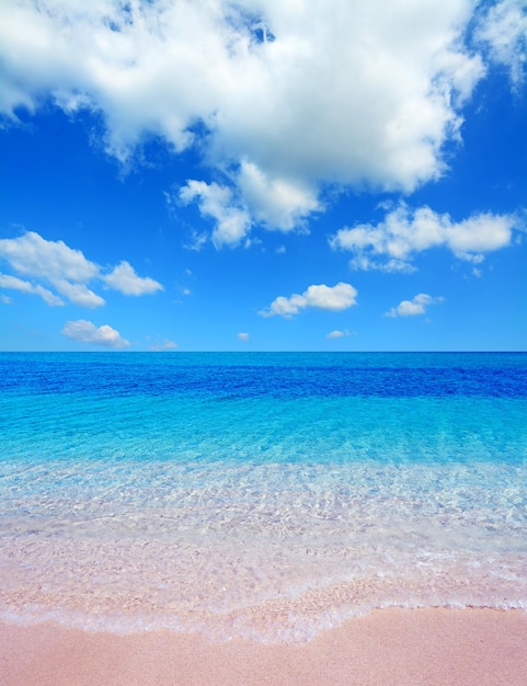 Pink shore under a cloudy sky