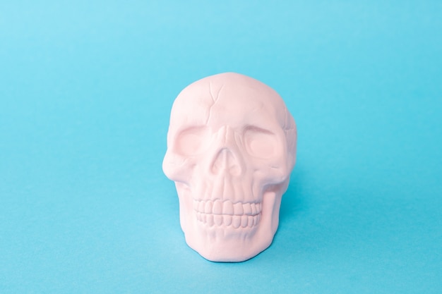 Photo pink skull on a pastel blue