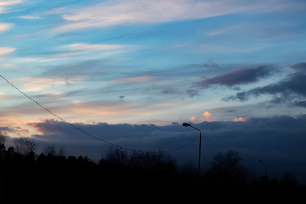 Pink sky and clouds at sunset and tree silhouettes