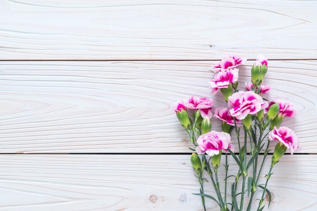 pink spring flower on wooden background