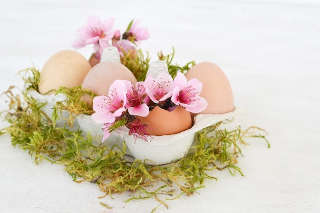 Pink spring flowers in egg shells on white background. Copy space.