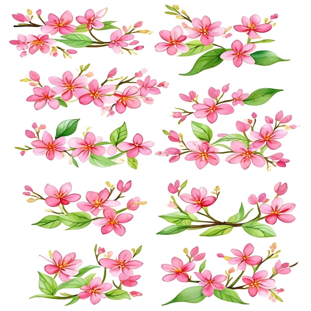 Pink spring flowers on a white background