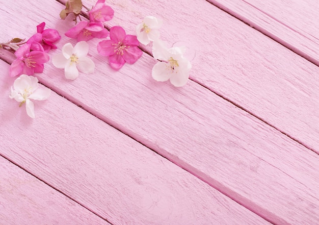 Pink spring flowers on wooden table