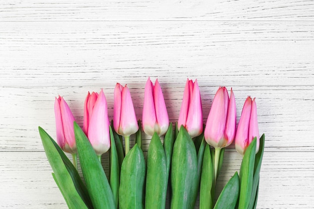 Pink spring tulips on a background of white boards. Place for text.