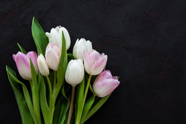 Pink spring tulips