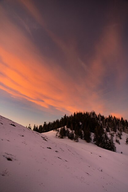 Pink sunrise through snowy mountain range Carpathian Mountains Ukraine Winter trekking