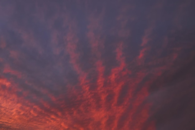 日没時に羽の雲とピンクの夕焼け空パノラマ Cloudscape