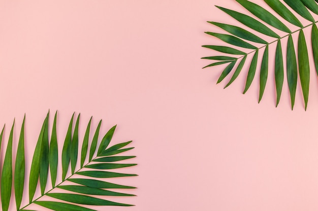 Pink table with tropical palm leaves