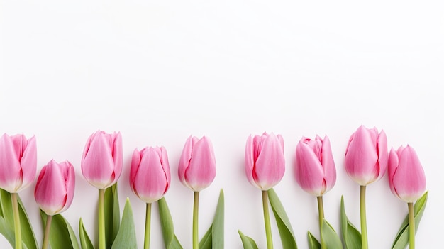 ピンクのチューリップの花は,テキストとモックアップの花の背景のための空のコピースペースです.