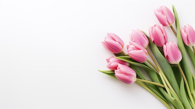 Pink tulip flower empty copy space for text and mockup floral background