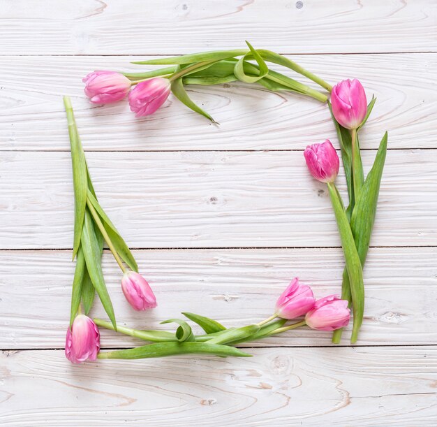 Fiore rosa del tulipano su fondo di legno