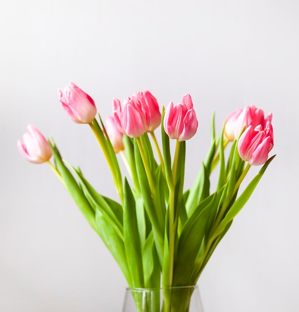 Pink tulip flowers Beautiful spring floral composition