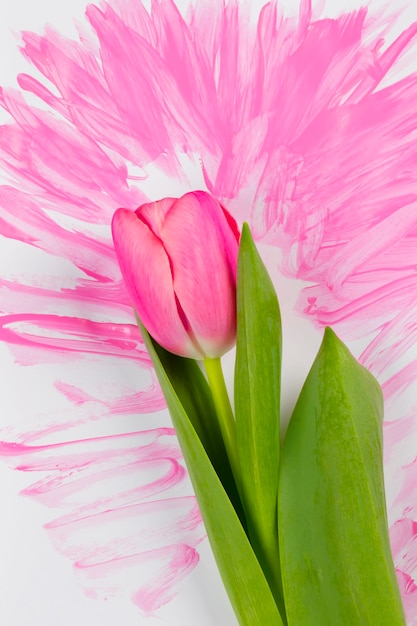 Pink tulip on a watercolor background the concept of flower creativity