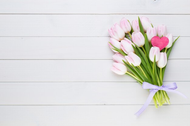 Pink tulip on the white background.