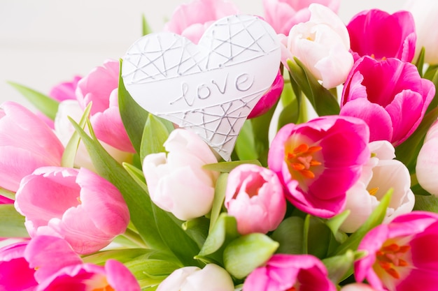 Pink tulip on the white background.