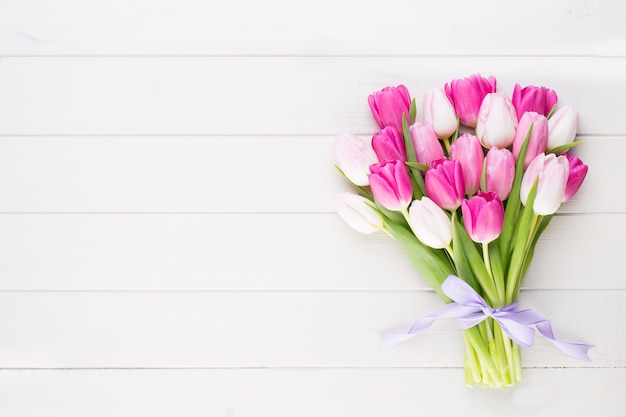 Pink tulip on the white.