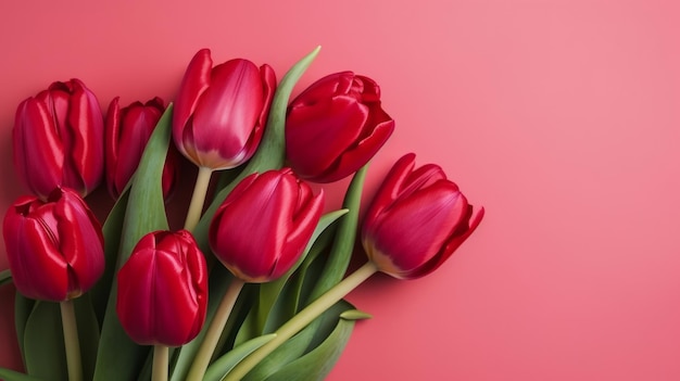 Pink tulips background Illustration AI GenerativexA