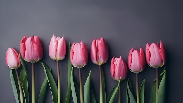 Pink tulips background Illustration AI GenerativexA